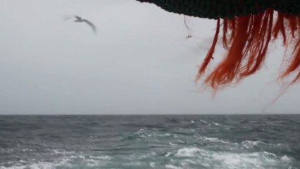 YANN. Pêche, avenir & crustacés. Les premières images... le teaser quoi !