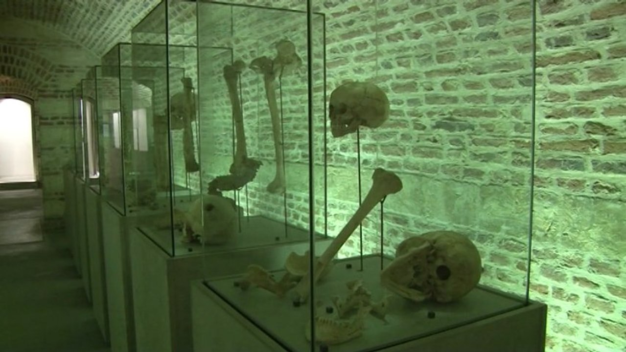A la decouverte du Musée de Cambrai - Télé Gohelle