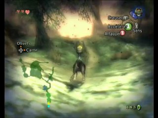 The Legend of Zelda - Twilight Princess partie 6