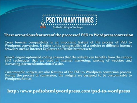 Professional-PSD-To-Wordpress-Conversion-Services