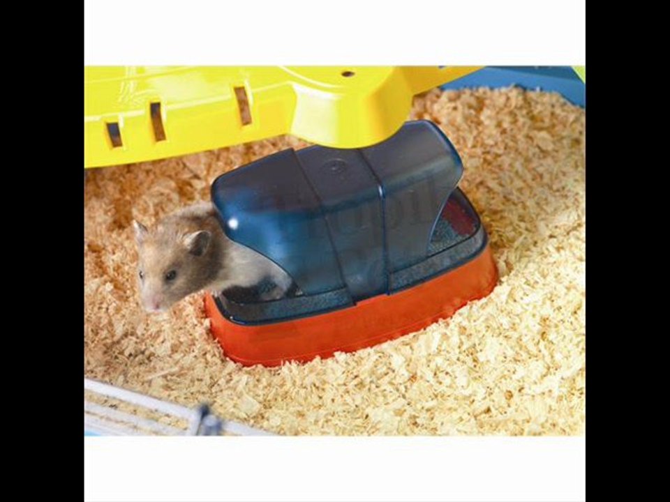 ilgazpet kedi köpek kuş balık yemi