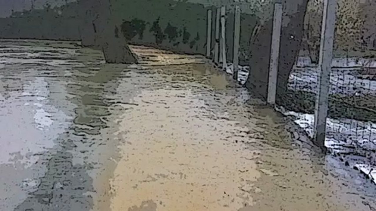 Inondations-Marais de Bourges-03022013-FL