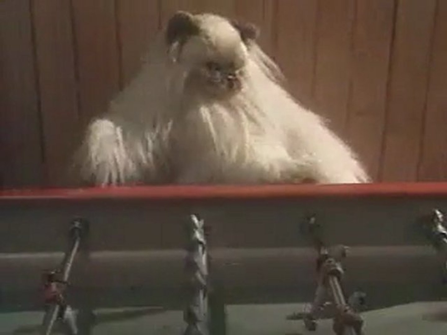 Les Nuls Kwiskas Video Dailymotion