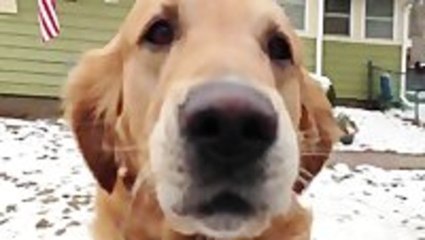 Who Needs A Mailbox?