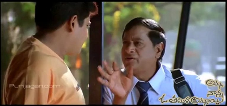 Amma Nanna O Tamil Ammayi - ali & ms narayana comedy scene