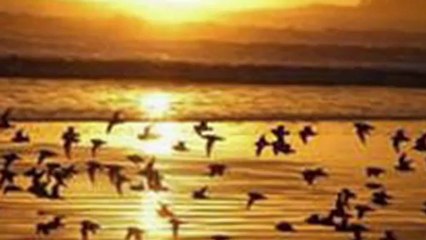 Nice Yıllara Kardeşim....(Kumgibi-Naşide Göktürk)