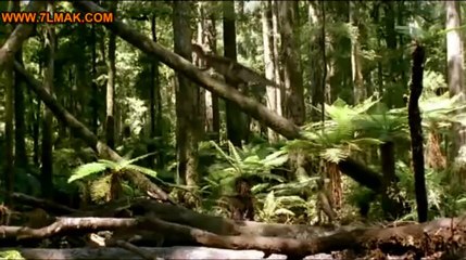 الفيلم الوثائقى برفقة الديناصورات الحلقة الخامسة