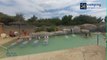 TEASER Yelloh! Village Le Brasilia - Canet en Roussillon (Languedoc-Roussillon) | Camping Street View