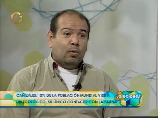 En Venezuela es común el vandalismo y las agresiones contra los animales