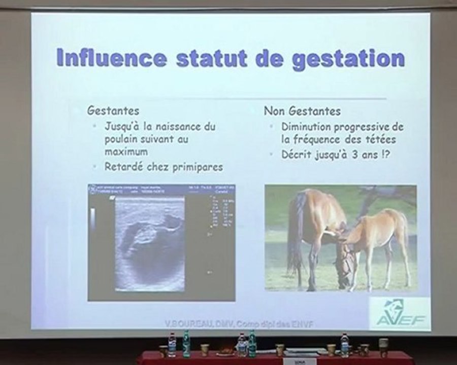 Web tv conférence 2010 - Vincent Boureau : Imprégnation, contacts sociaux, sevrage, débourrage : facteurs de risques et prévention