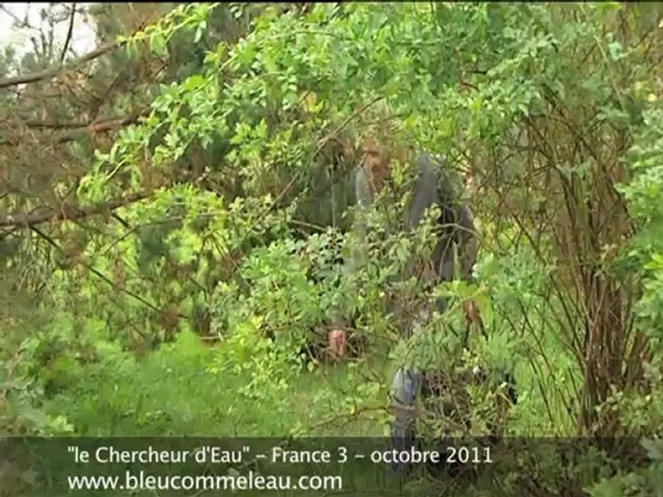 Sourcier  professionnel dans les Vosges en Lorraine