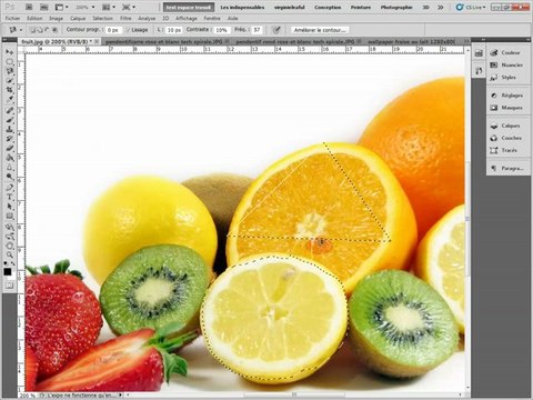 Photoshop CS4/CS5 Outil de selection