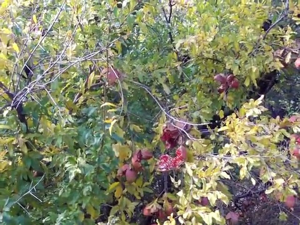 DİYARBAKIR ÇÜNGÜŞ KARAKAYA KÖYÜ