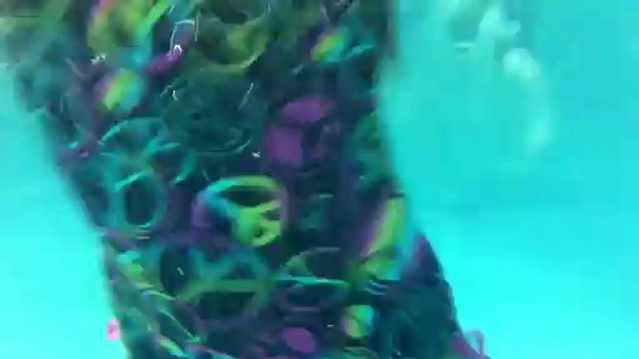 313