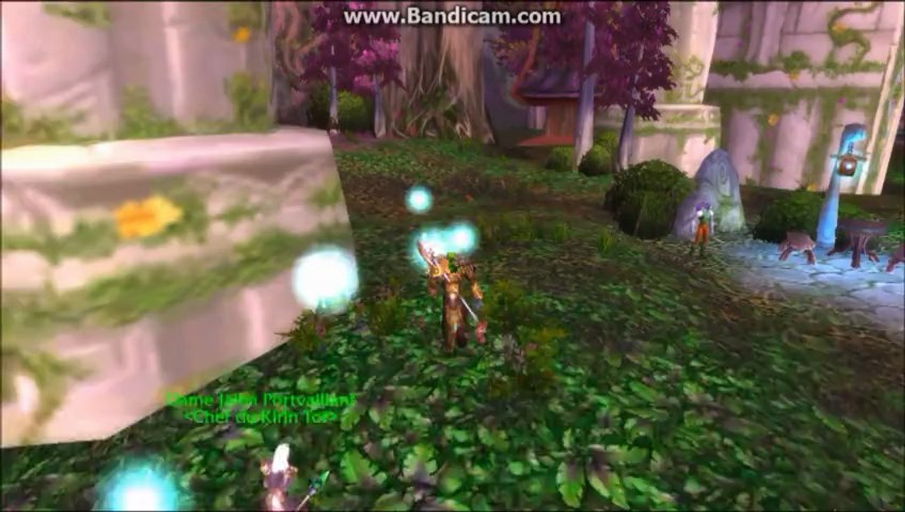 Campagne de Pandarie - Le Conflit horde & alliance part 3