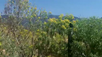 Malinalco  - Mexique