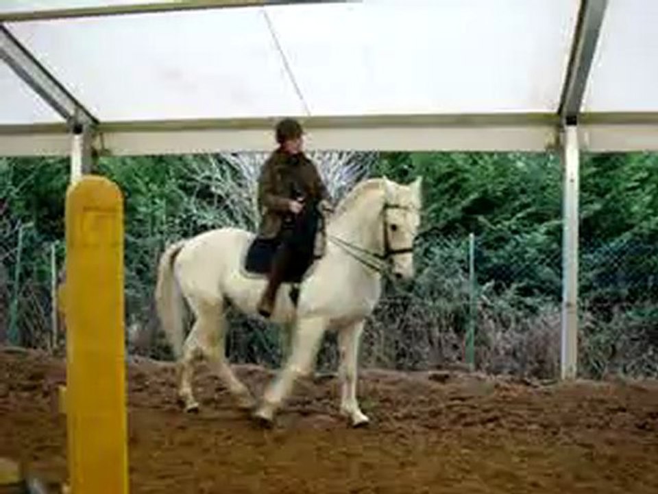 ELODIE ET ISTOUF LE 03-02-13 045