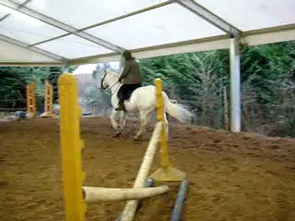 ELODIE ET ISTOUF LE 03-02-13 051