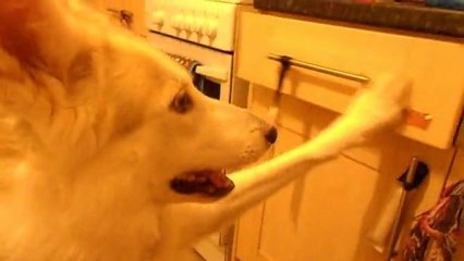 Opening and closing drawer