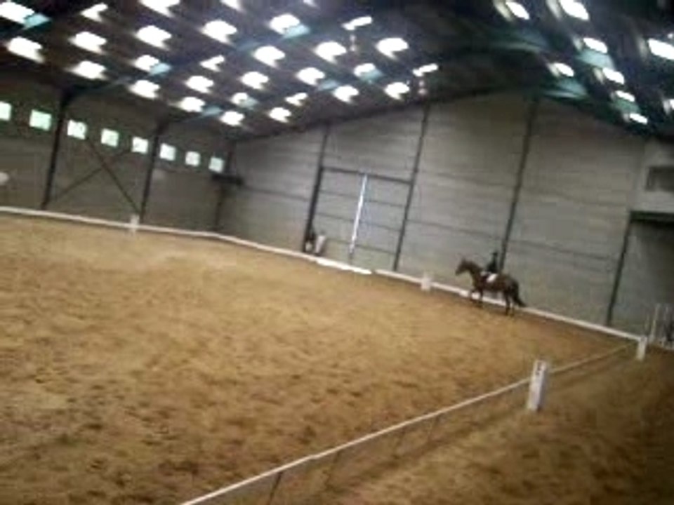 Brevet Etrier d'Or dressage