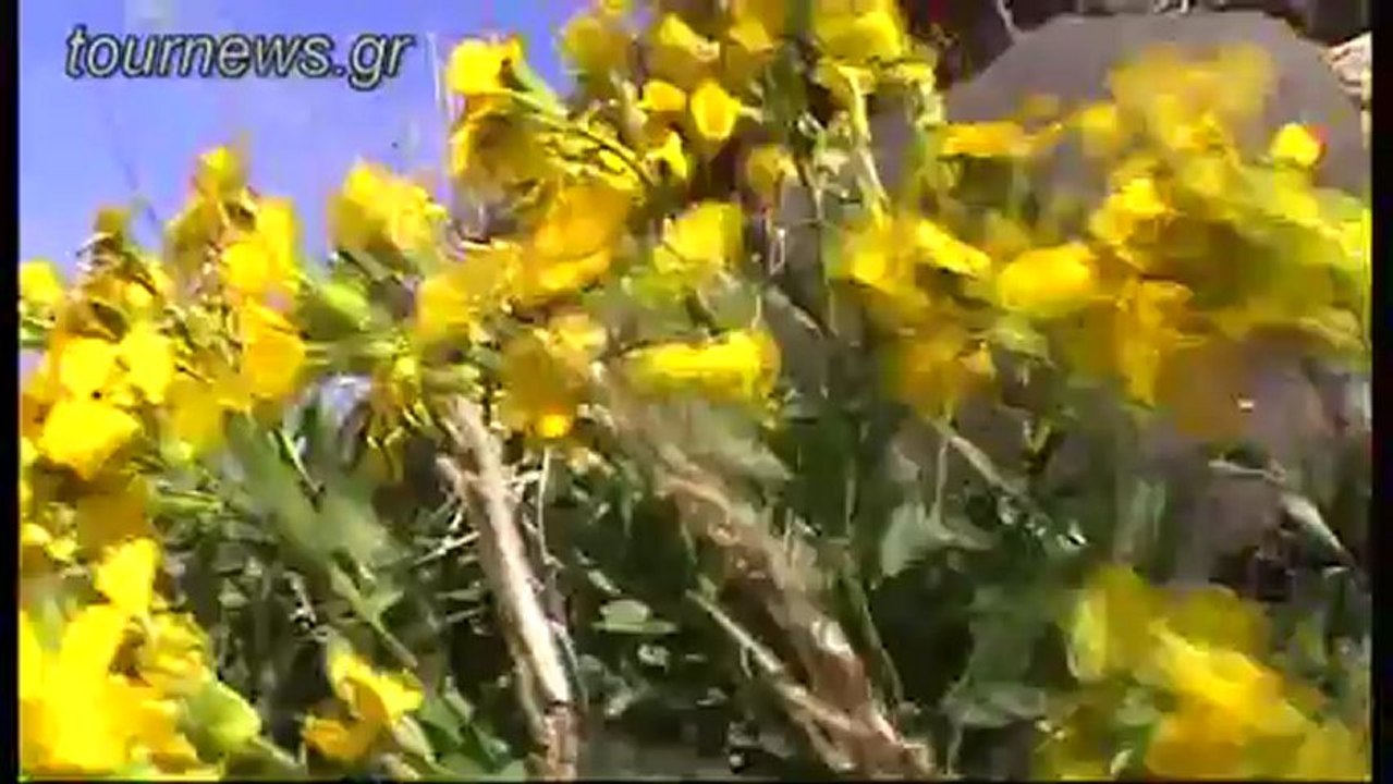 1. Πεζοπορία Φηροστεφάνη - Σκάρος - Θεοσκέπαστη.