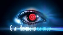 CORTINILLA FALTAN 7 DÍAS - GRAN HERMANO CATORCE