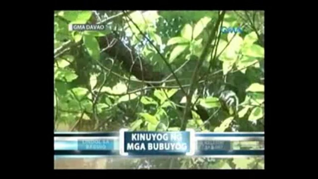 saksi