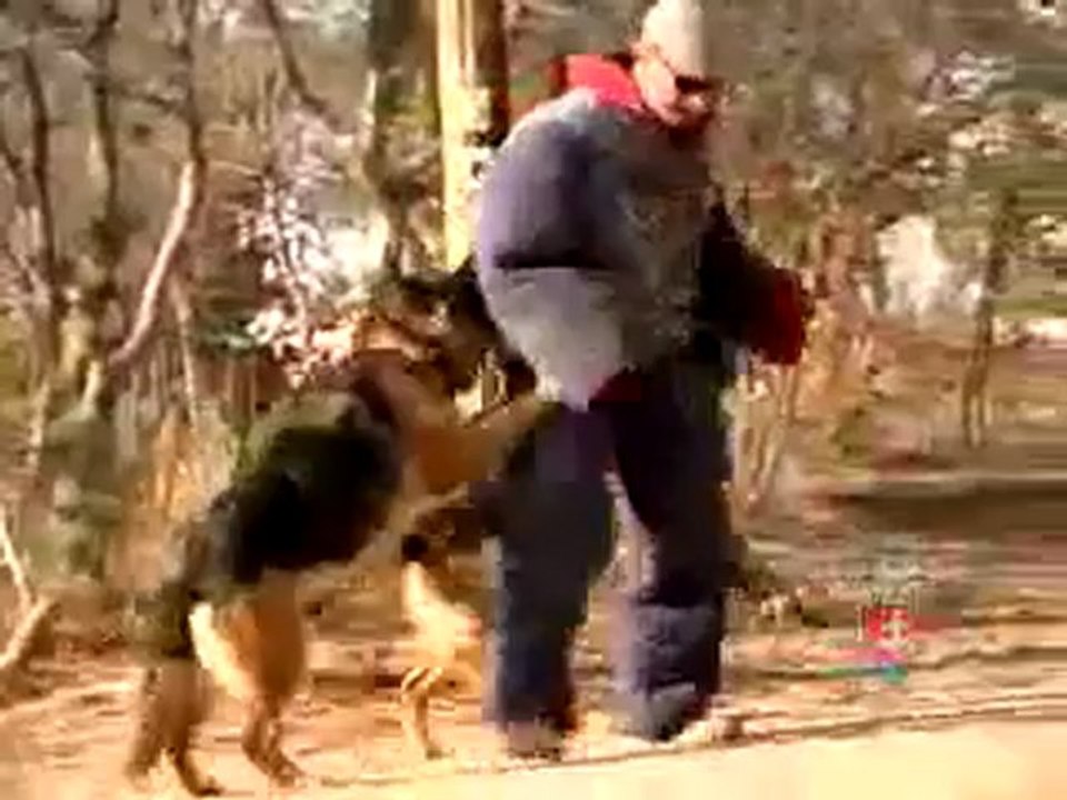 CQB K-9 Full Promo Video