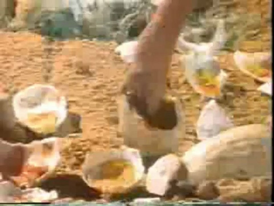 Prehistoric Beast + Terminator Franchise Music