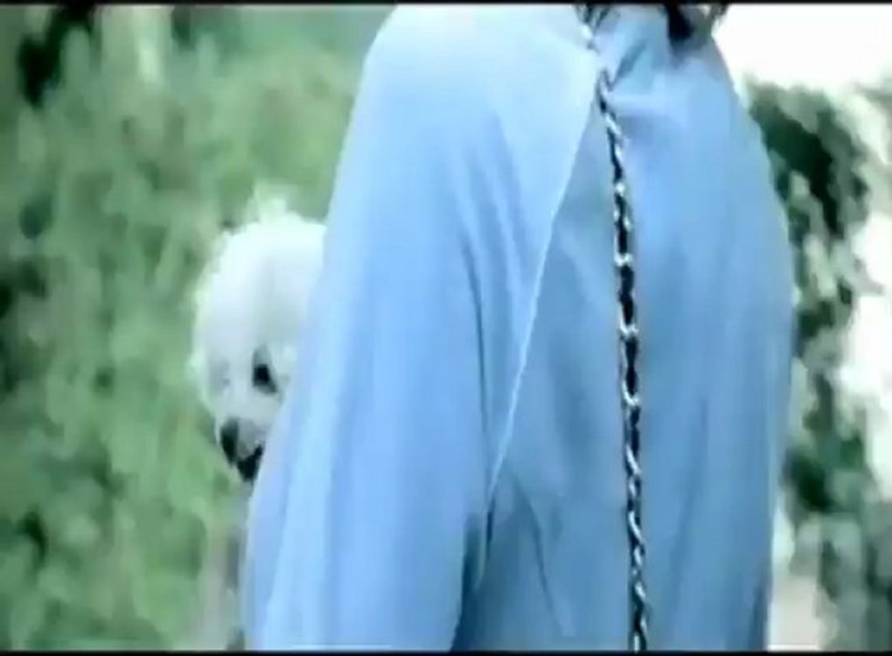 Heino vs..Die Ärzte - Junge