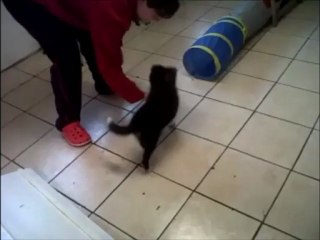 Hooper (A et tunnel)