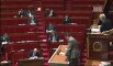 Assemblée nationale : Intervention de Philippe Gosselin sur l'article 1er bis du projet de loi "mariage pour tous"