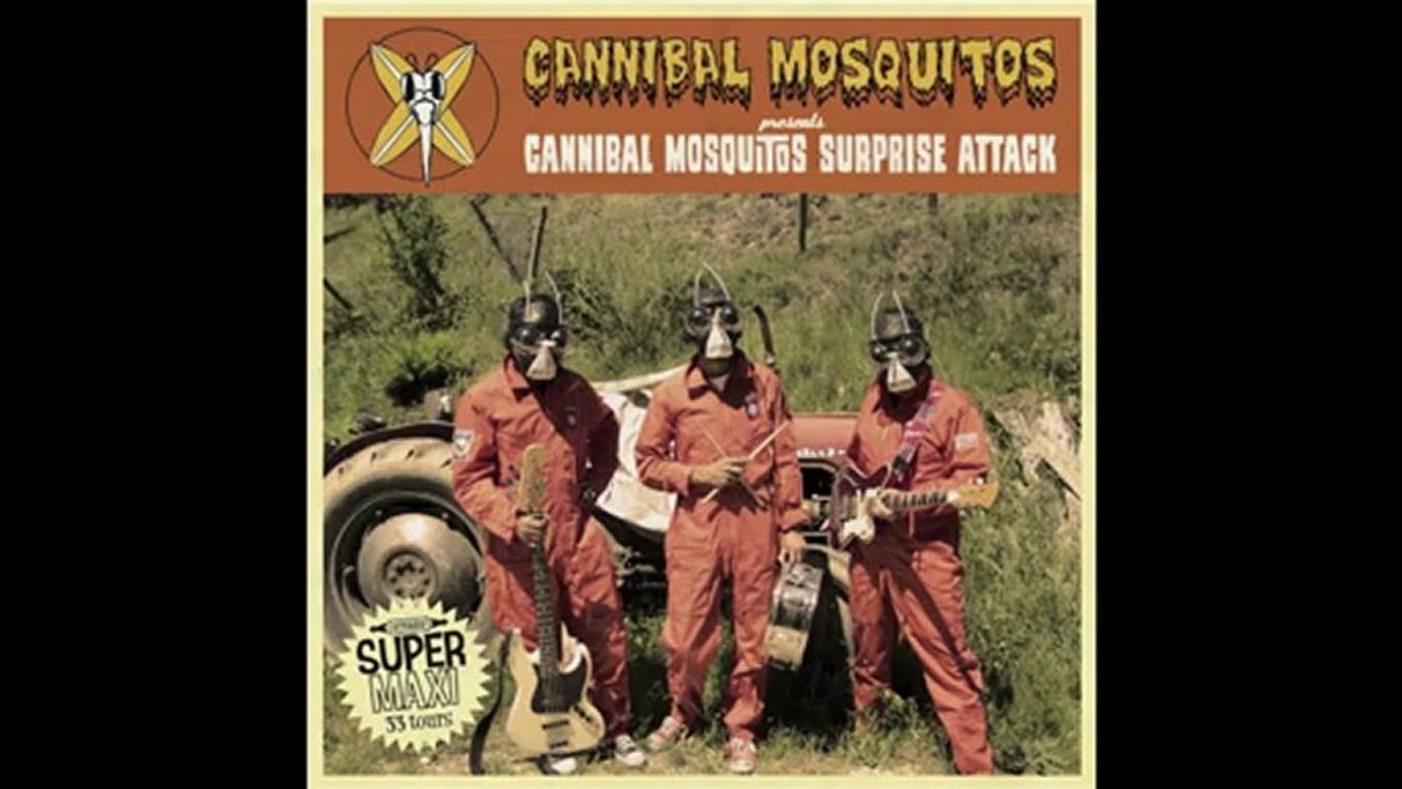 Teaser "Aloha Surf Party" Samedi 9 Mars 2013 à La Derniere Chance à Toulouse