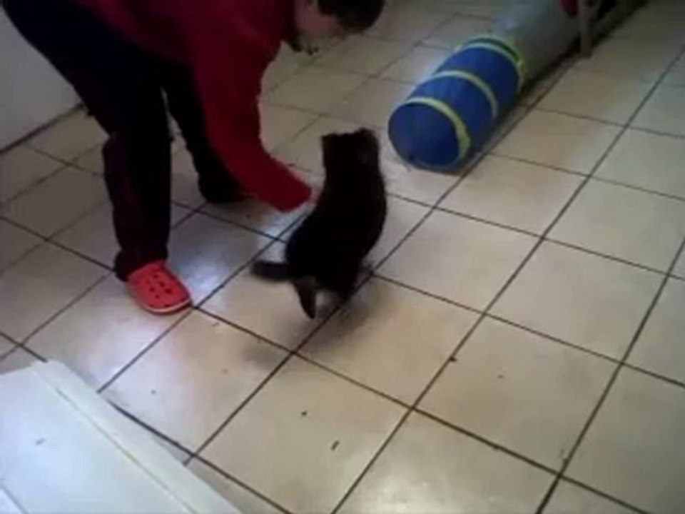 Hooper (A et tunnel)
