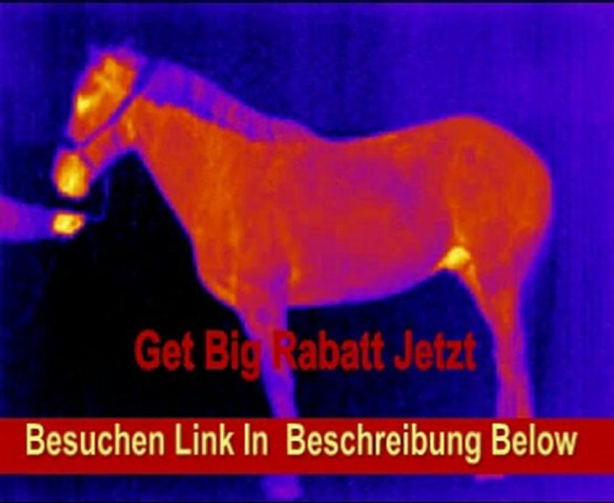 Wärmebildkamera TK-4010 / Infrarotkamera / Thermografiekamera / Thermographiekamera / Bauphysik / Gebäudehtermografie / Industrie / Gebäude / Elektro / Polizei / Feuerwehr / Industrie / Veterinär / Polizeiwärmebildkamera / Tierthermographie