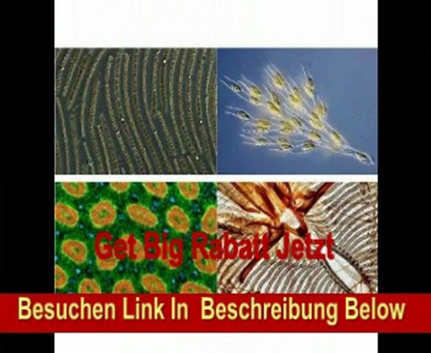 9,0 MegaPixel CMOS Mikroskop und Teleskop Kamera / Eignet sich für alle Mikroskope und Teleskope ab einer Okularaufnahme von 23,2 mm