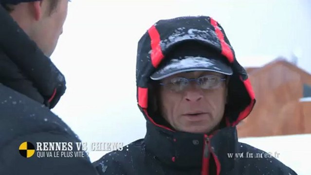 EM52 Rennes VS Chiens : qui va le plus vite ?