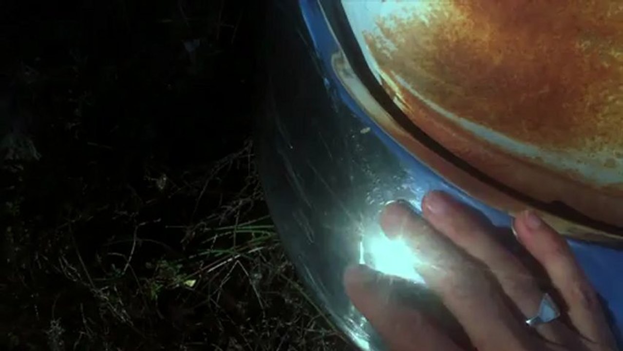 Je n'ai jamais quitté la forêt - Un film de Martin Lampprecht