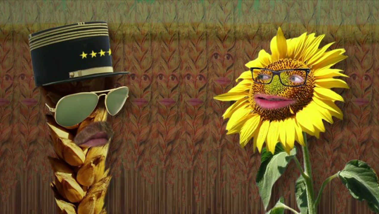 Les énergivOres : Les cultivés