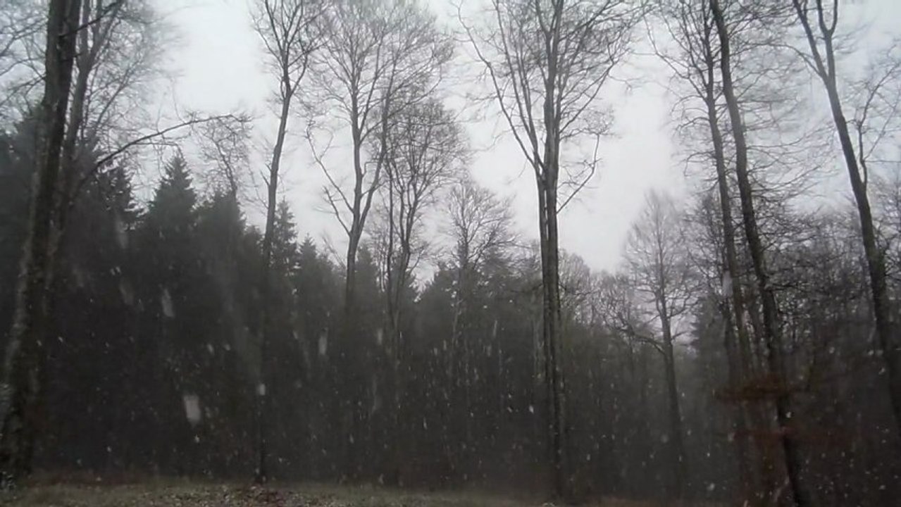 Neige
