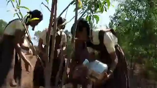 Basura y ecología | Ideas globales