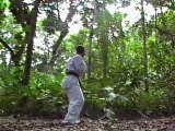 Taekwondo MARTIAL ARTS- PRO