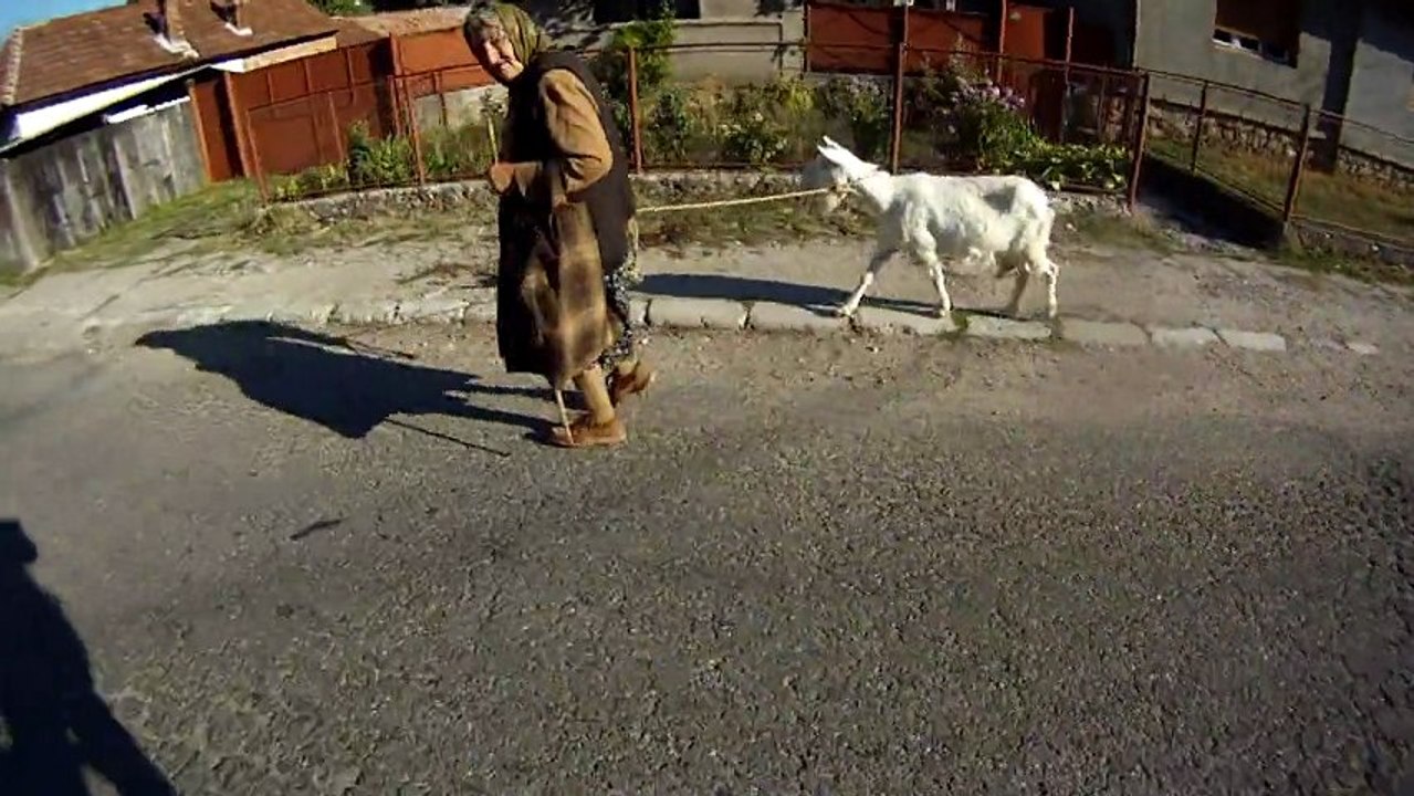 Aventuri pe bicicleta - Expeditie in Muntii Apuseni - Traseul: Vartop - Stei (BH)