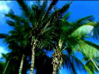 Kur-an-ı Kerim Türkçe Meali 002Bakara Süresi_0003