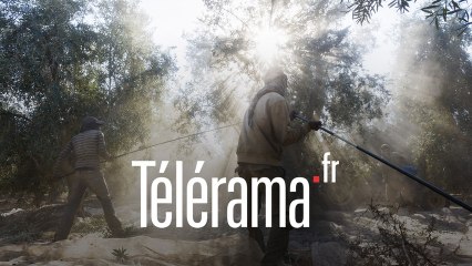 Visite guidée :  Cadavre exquis à Aix-en-Provence