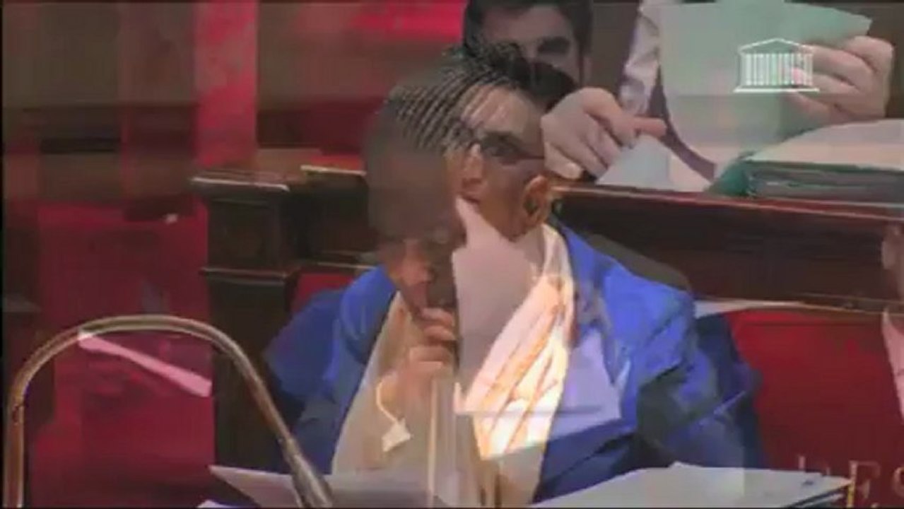 Extraits des débats sur le mariage pour tous