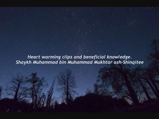 NEW! Losing this world and the next! Shaykh Muhammad bin Muhammad Mukhtar ash-Shinqitee