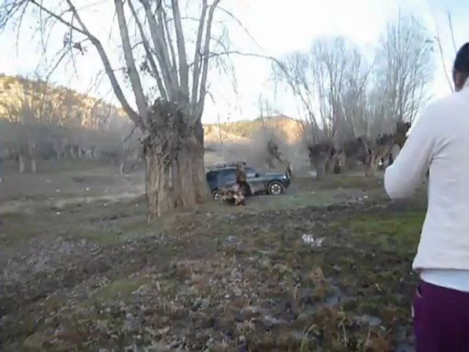 P1030336