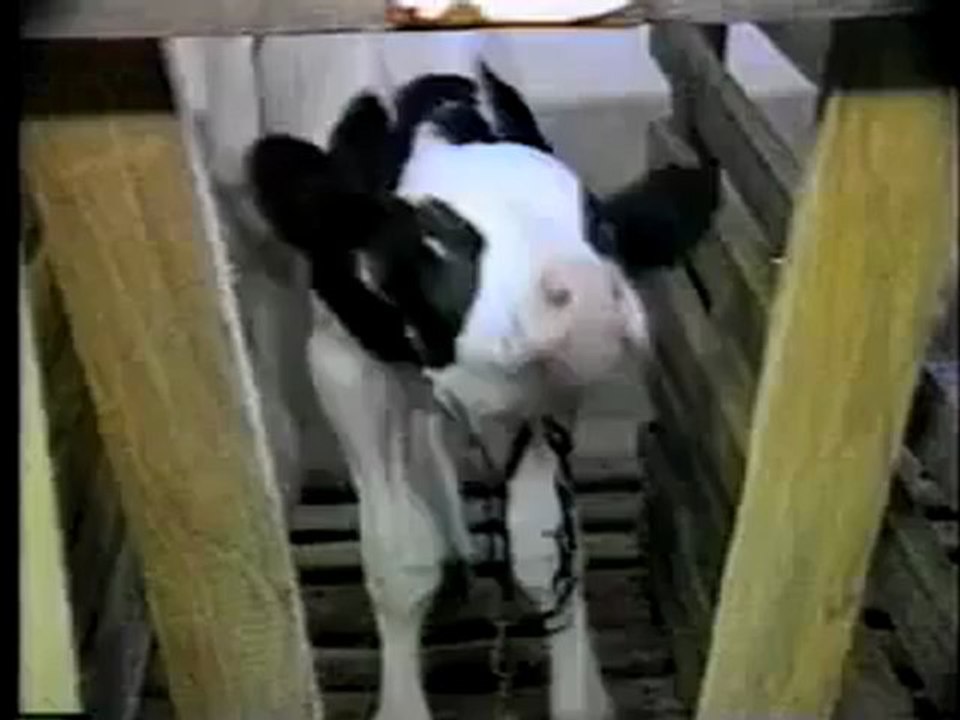 La cara oculta de la comida