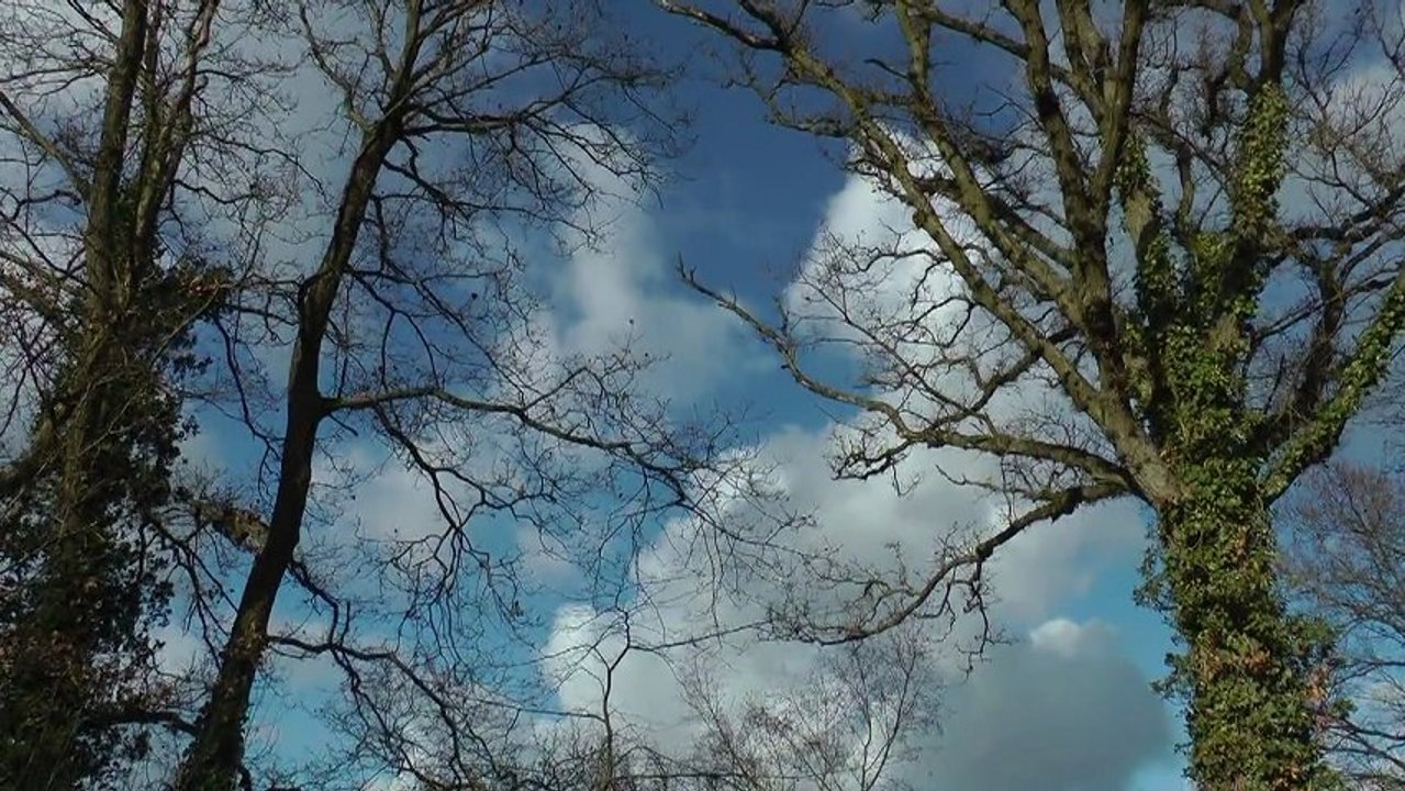 balade par grand vent